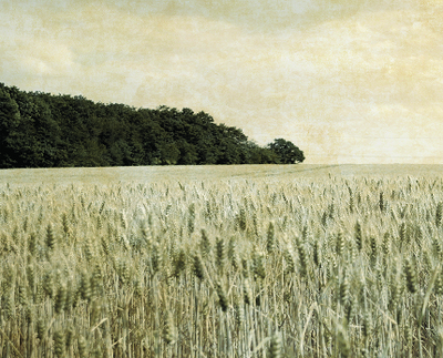 A town built on a bounty of fertile farmland.